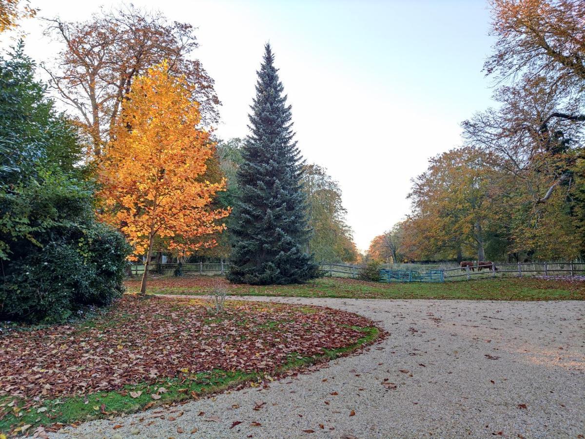 Chambre Sixties Lingevres Kültér fotó